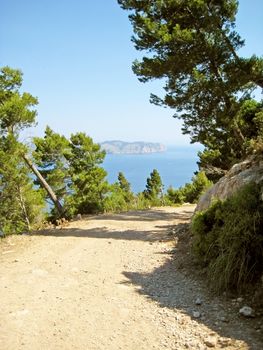 Bay of Pollenca, peninsula Formentor, view from peninsula Victoria - curved road with pine trees in front