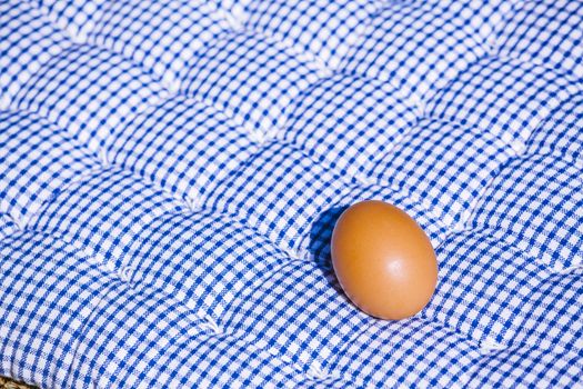 Egg on a blue and white pillow under the sun in summertime