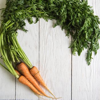 Freshly grown carrots on wooden table