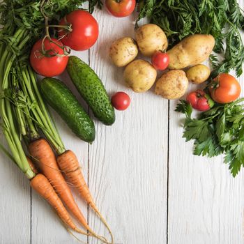 Close up of various freshly grown raw vegetables