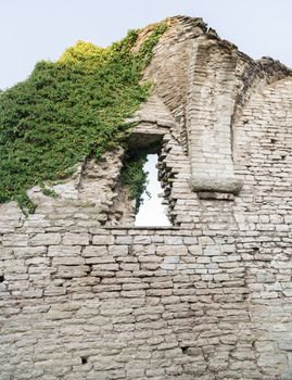 Window in Ruin with green vegetation growing on it.