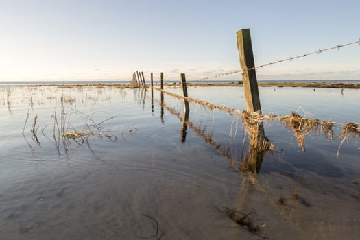 Fence in Water by ocean.