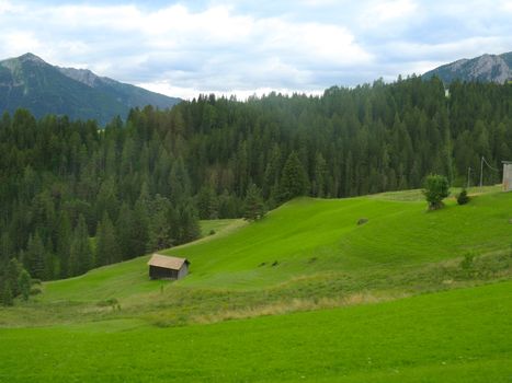 landscape of the Alps in Italy summer