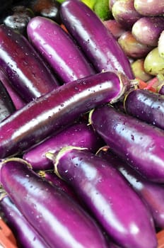 Raw ripe Eggplant display at Vegetable Stall of Local Market at Little India, Singapore