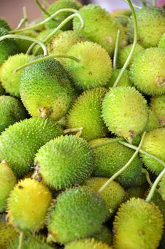 Raw spiny gourd on display at Vegetable Stall of Local Market at Little India, Singapore