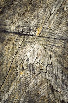 abstract background or texture features beautiful old wood boards