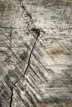 abstract background or texture Old wooden board with crack weatherworn