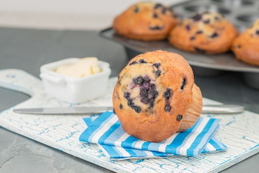 Freshly baked blueberry muffins served with butter.