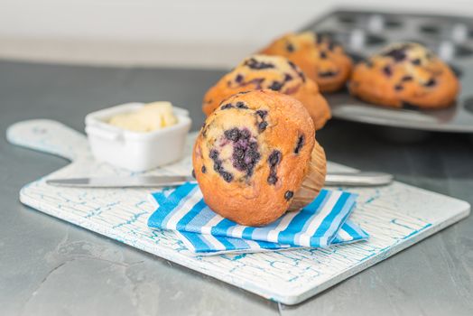 Warm blueberry muffins served with real butter.