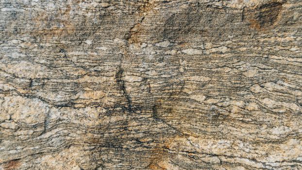 Gneiss Layered Texture. The layers and texture of this natural, Granite Gneiss make an edgy, yet earthy background for any project.