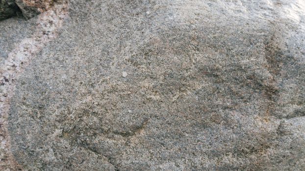 Surface of a glacial erratic of granite, usable as texture or background