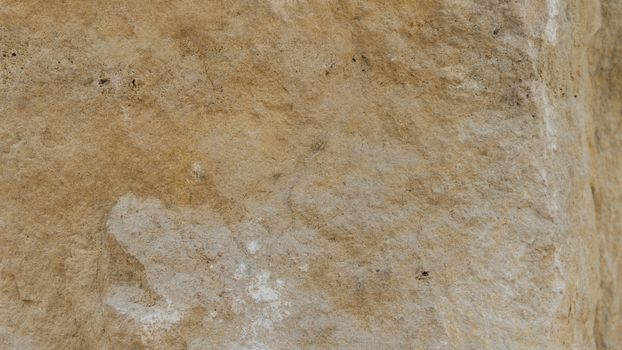 Diplopora Dolomite Rock Layers. Pen for scale usable as texture or background