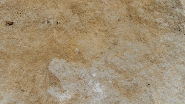 Diplopora Dolomite Rock Layers. Pen for scale usable as texture or background