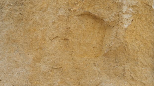 Diplopora Dolomite Rock Layers. Pen for scale usable as texture or background