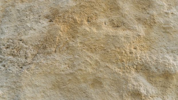 Diplopora Dolomite Rock Layers. Pen for scale usable as texture or background