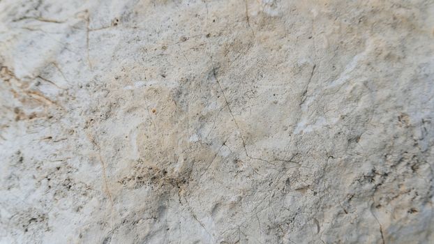 Upper limestone jurassic beige famous Jurassic marble. The texture of the natural stone particles ancient flora and fauna substituted calcite. Natural building materials Jura Gelb.