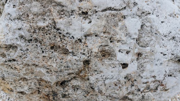 Upper limestone jurassic beige famous Jurassic marble. The texture of the natural stone particles ancient flora and fauna substituted calcite. Natural building materials Jura Gelb.