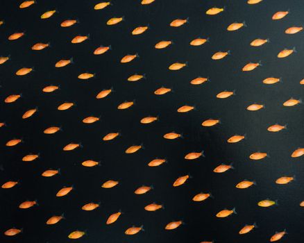 Gold Fish Isolated on a Black Background.