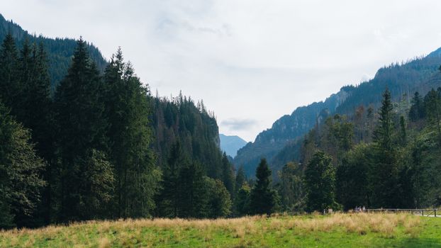 View of a Koscielisko Valley in polish Tatras Poland.