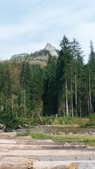 View of a Koscielisko Valley in polish Tatras Poland.