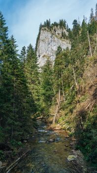 View of a Koscielisko Valley in polish Tatras Poland.