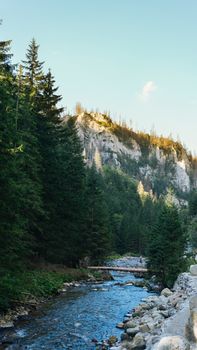 View of a Koscielisko Valley in polish Tatras Poland.