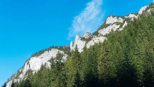 View of a Koscielisko Valley in polish Tatras Poland.