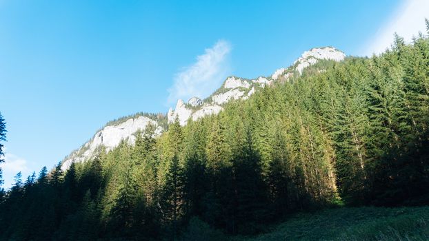 View of a Koscielisko Valley in polish Tatras Poland.