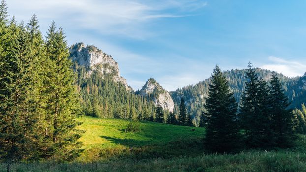 View of a Koscielisko Valley in polish Tatras Poland.