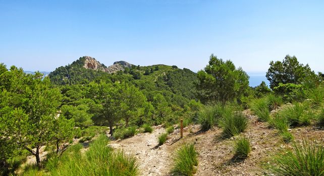 Hiking path through the mountains near coast, panorama, trees aside