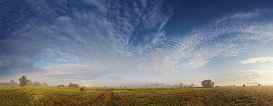 Foggy meadow in the autumn morning. Panorama