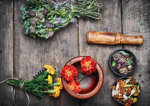 Mortar with healing flowers, plant marigolds and pestle