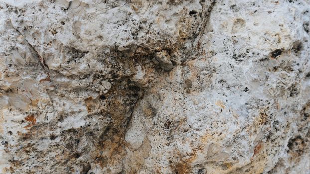 Upper limestone jurassic beige famous Jurassic marble. The texture of the natural stone particles ancient flora and fauna substituted calcite. Natural building materials Jura Gelb.