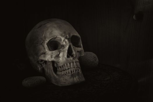 Still life photography with human skull