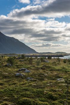 Colorful summer landscape with sharp mountain peaks in Norway.