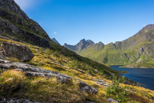 Colorful summer landscape with sharp mountain peaks in Norway.
