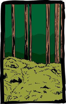 Framed doodle illustration of trail in tall tree forest in Sweden