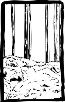 Outlined sketch of tall forest trees in background of trail