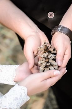 the groom and the bride hold hands-the arc with pine cones in forest