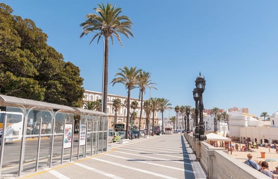 CADIZ, SPAIN - AUGUST 27, 2014: Palm Trees along the promenade in Cadiz city center, next to the Caleta Beach.