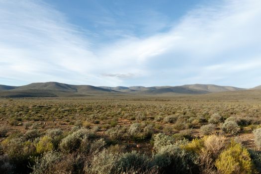 Green Mountains - Sutherland is a town with about 2,841 inhabitants in the Northern Cape province of South Africa. It lies in the western Roggeveld Mountains in the Karoo