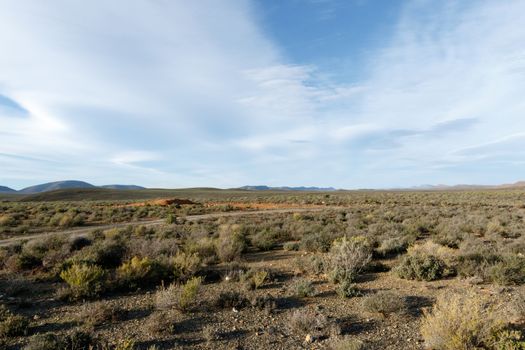 Just WoW  - Yellow in a field of nothing - Sutherland is a town with about 2,841 inhabitants in the Northern Cape province of South Africa. It lies in the western Roggeveld Mountains in the Karoo