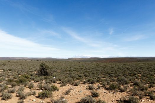 Green and Cold - Sutherland is a town with about 2,841 inhabitants in the Northern Cape province of South Africa. It lies in the western Roggeveld Mountains in the Karoo