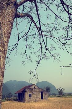 Amazing scene of at Quang Binh countryside,Vietnam. Abandoned stone house under big neem tree in summer, a place for discover tour