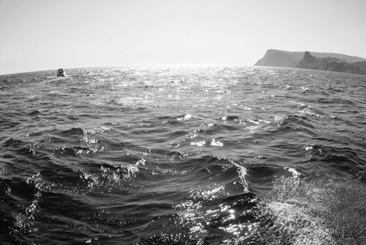 Waves on seascape in sun light at Black sea. Fish-eye lens.