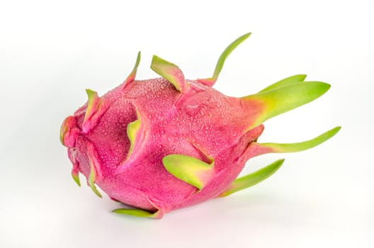Fresh pink pitaya or dragon fruit  on white background