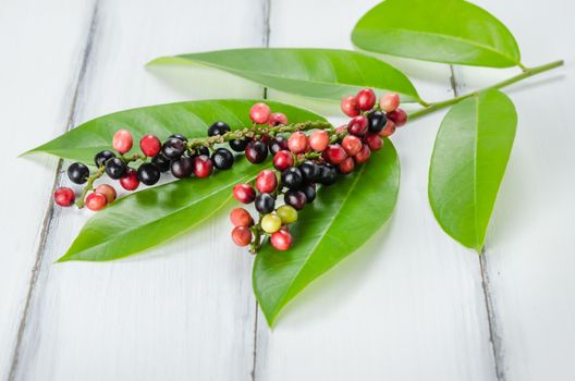 Thai Blueberry fruits with leaves over wooden background , still life