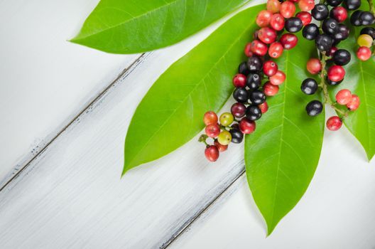 Thai Blueberry fruits with leaves over wooden background , still life