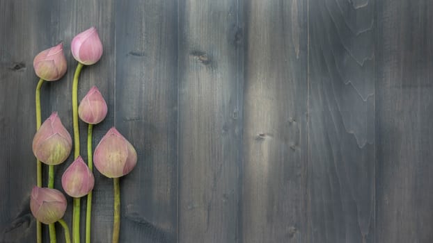 top view of pink water lily over wooden background,  Free space for text