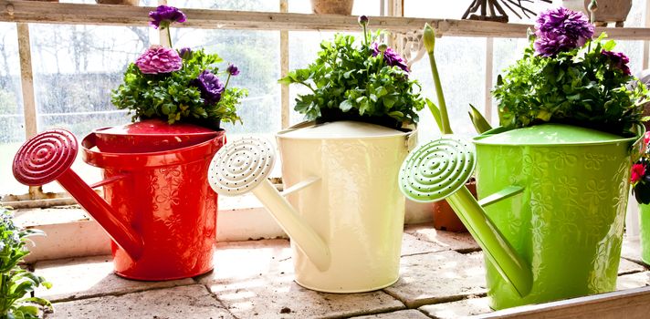 Watering cans, concept of gardening and hobby